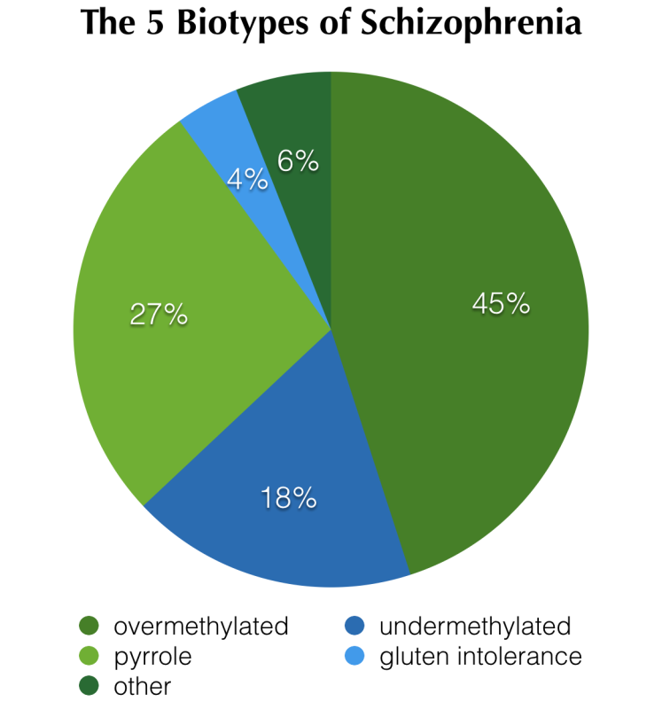 Natural Healing for Schizophrenia. 5 Biotypes key to Schizophrenia Healing: overmethylation, undermethylation, pyrrole disorder, gluten intolerance, other