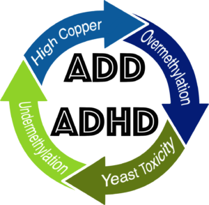 Four Biochemical subtypes of Focus and Attention Syndromes: High Copper, Overmethylation, Undermethylation, and Yeast Toxicity