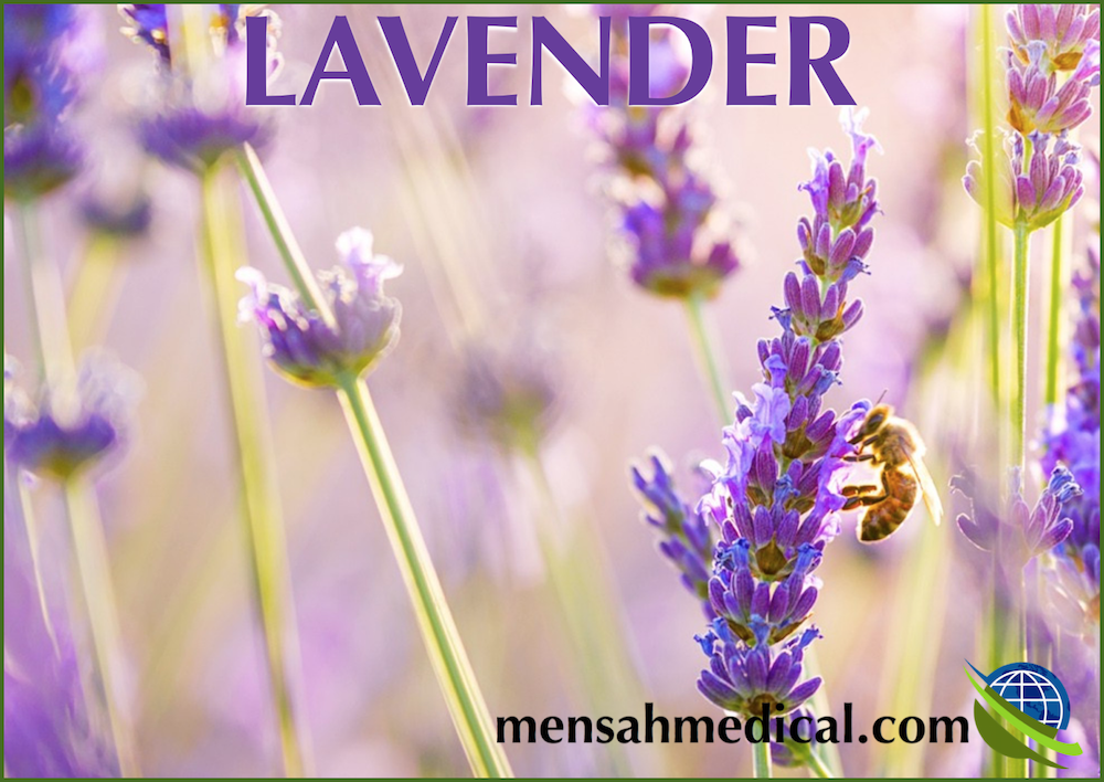 lavender oil for allergies and anxiety