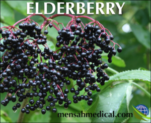 using elderberry with pre-existing conditions